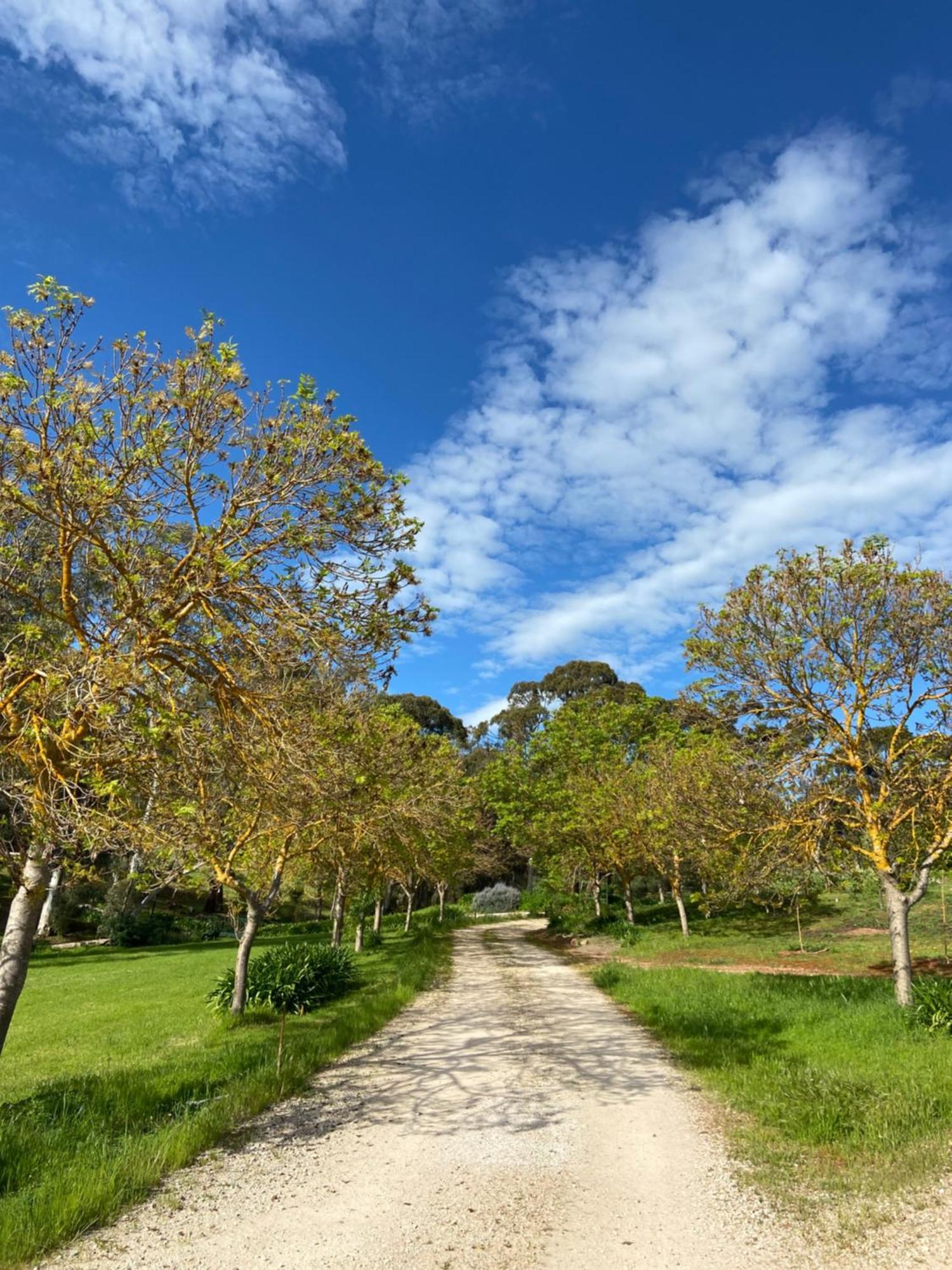 Battunga Cottages Watervale Ngoại thất bức ảnh